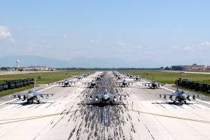 Aviano Elephant Walk